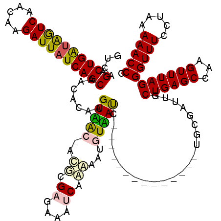 secondary structure