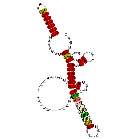 secondary structure
