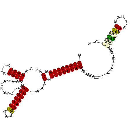 secondary structure