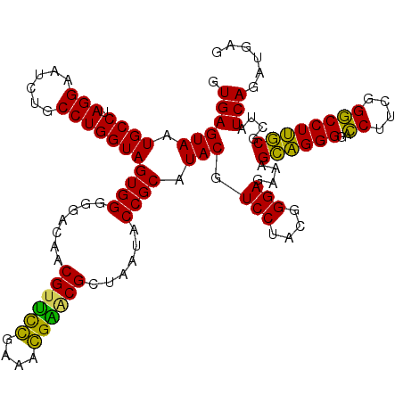 secondary structure