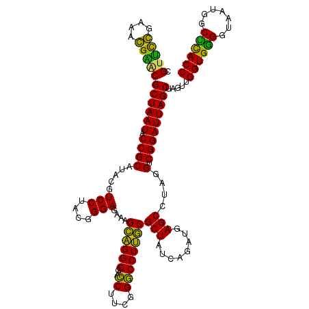 secondary structure