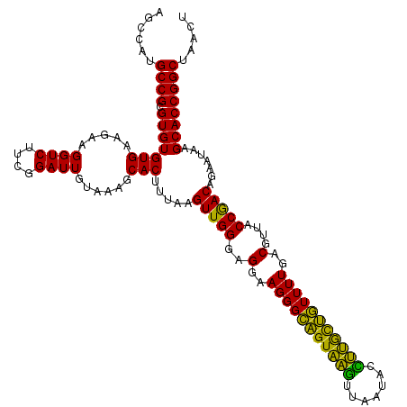 secondary structure