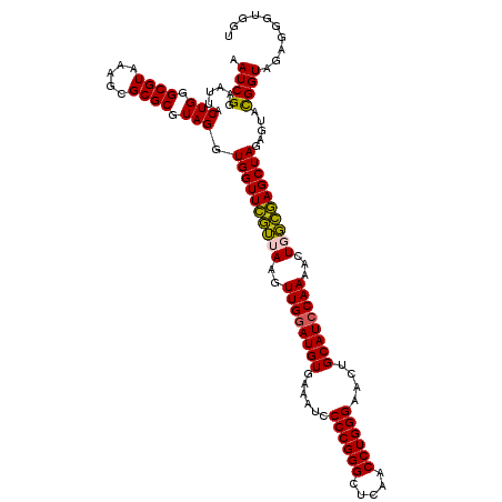 secondary structure