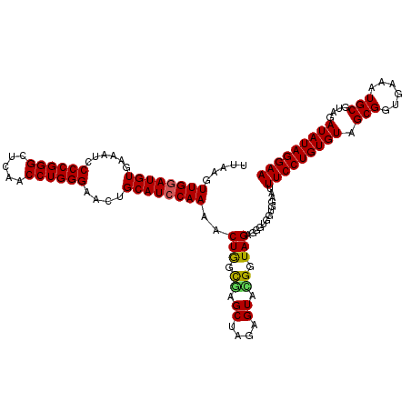 secondary structure