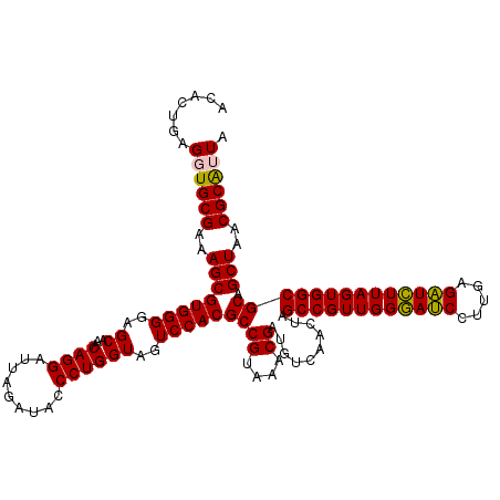 secondary structure