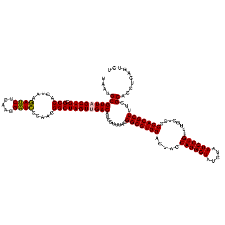secondary structure