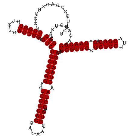 secondary structure