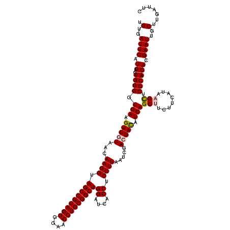 secondary structure