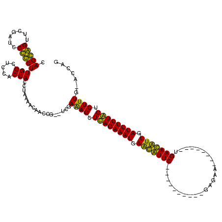 secondary structure