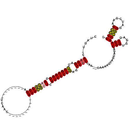 secondary structure