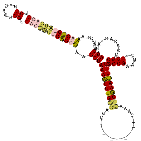 secondary structure