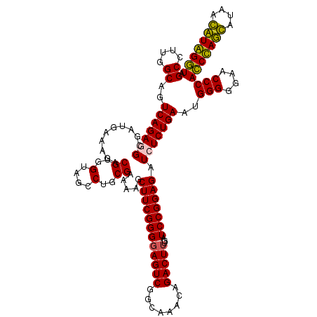 secondary structure