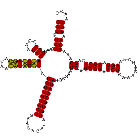 secondary structure