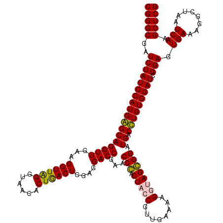 secondary structure