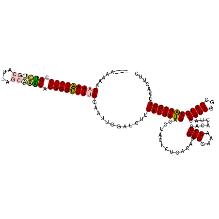 secondary structure