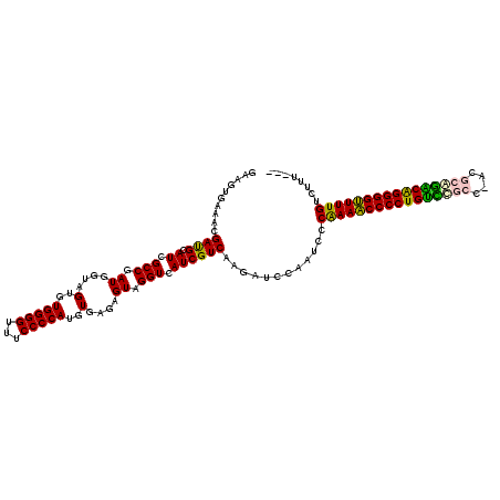 secondary structure