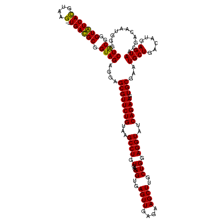 secondary structure