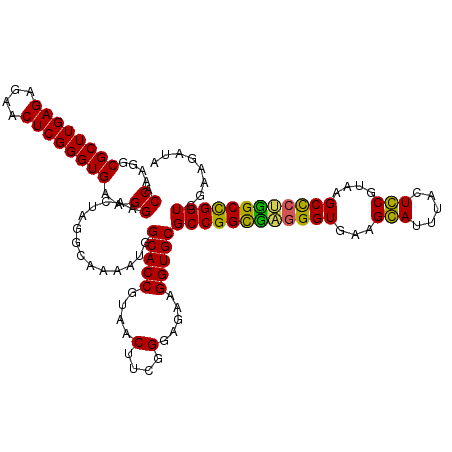 secondary structure