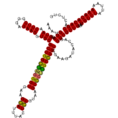 secondary structure