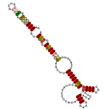 secondary structure