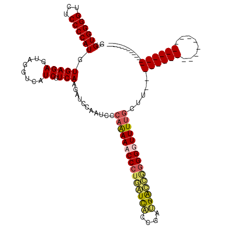 secondary structure