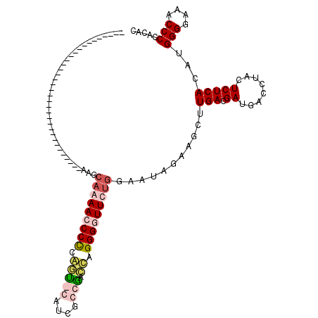secondary structure