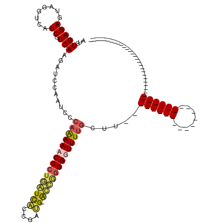 secondary structure