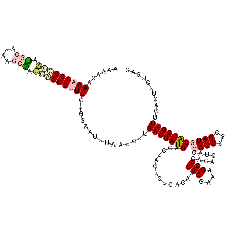 secondary structure