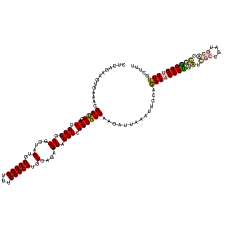 secondary structure