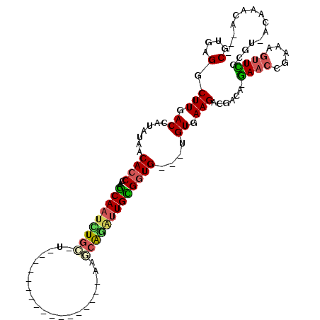 secondary structure