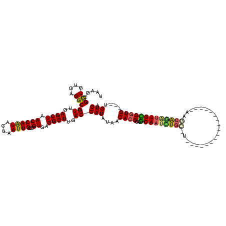 secondary structure