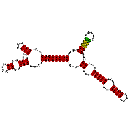 secondary structure