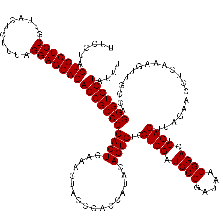 secondary structure