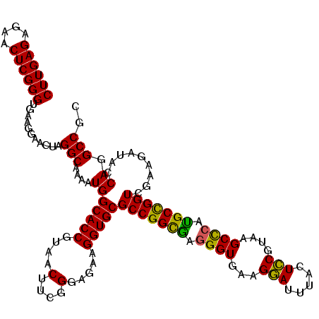 secondary structure