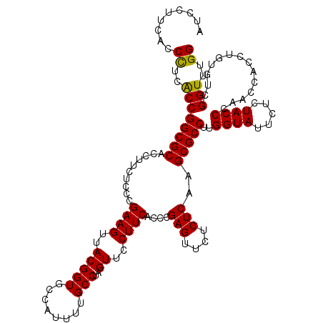 secondary structure