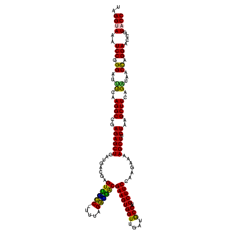 secondary structure
