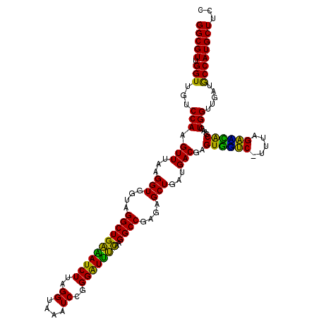 secondary structure