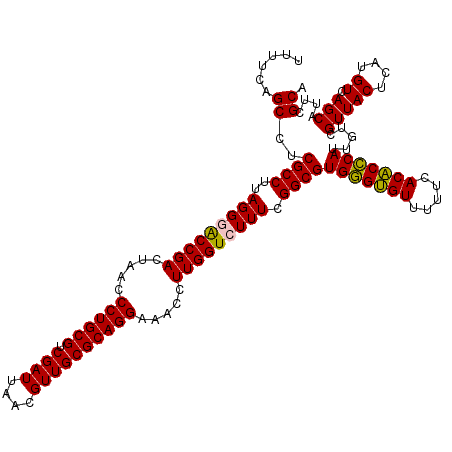 secondary structure