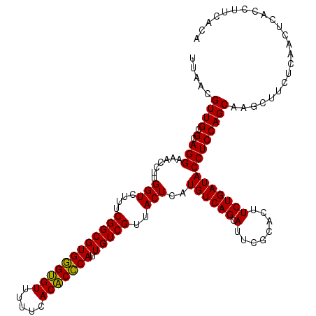 secondary structure
