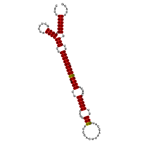 secondary structure