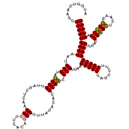 secondary structure
