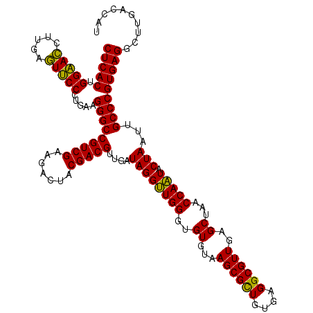 secondary structure