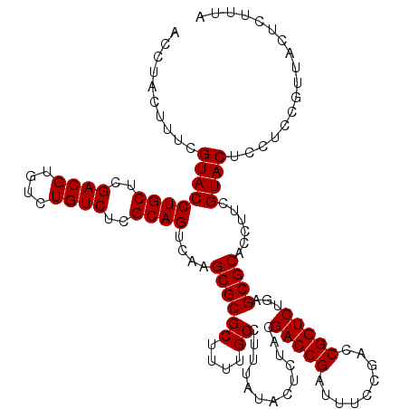 secondary structure