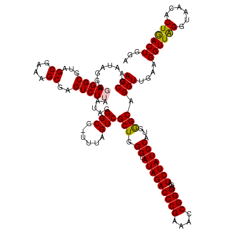 secondary structure