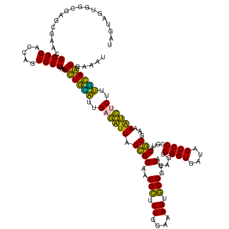 secondary structure