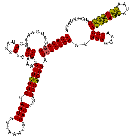 secondary structure