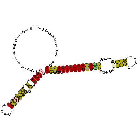 secondary structure