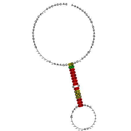 secondary structure