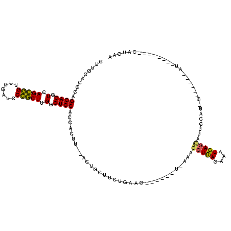 secondary structure