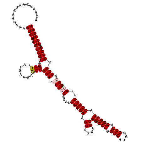secondary structure